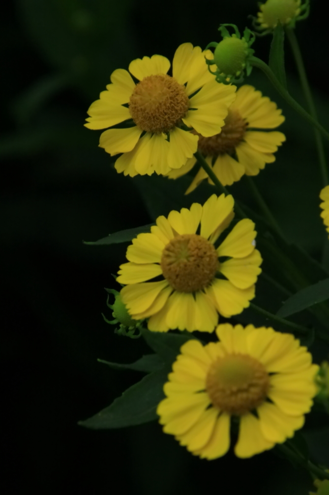 2010 08 15 IMG 05389